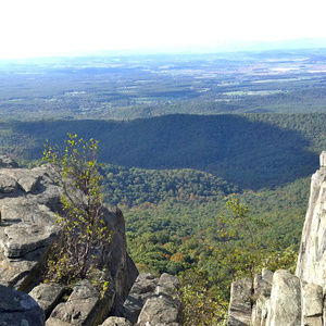 Meet your Posher, Vicki